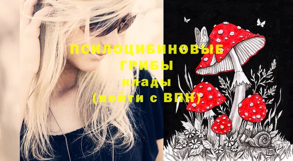 мяу мяу мука Абинск