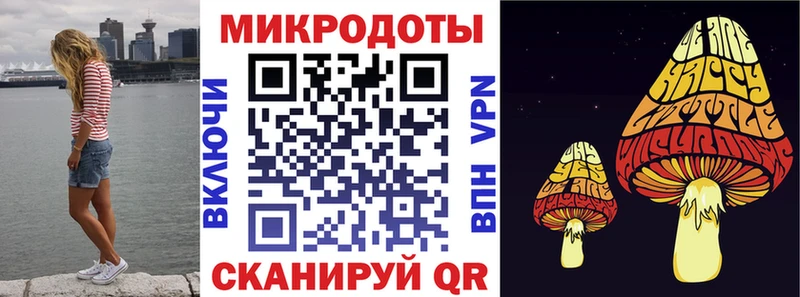 mega tor Богородск Галлюциногенные грибы Psilocybine cubensis